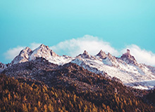 World Cup注册-岗位在崇明，上海面向社会招募残疾人体育教练员|上海市|残奥会|竞技体育|教学训练|训练基地_新浪体育_新浪新闻